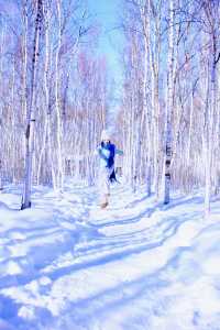 漠河三天兩晚人均3位數,怎麼玩?