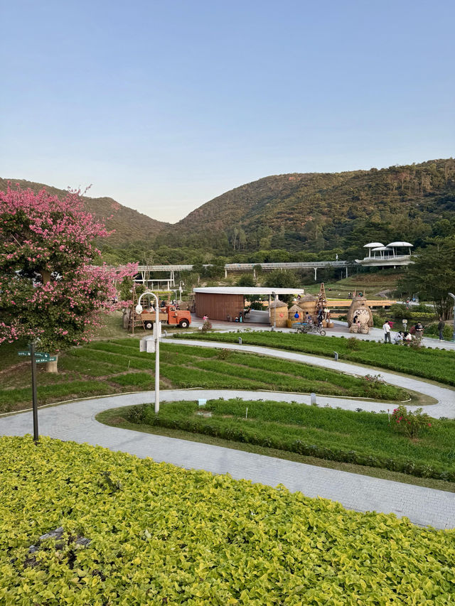 金灣木頭沖|走進童話世界 金灣木頭沖|走進童話世界