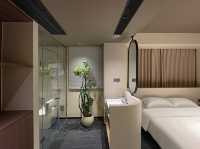 11月7日南雄帽子峰銀杏葉實拍