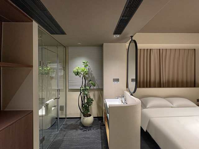 11月7日南雄帽子峰銀杏葉實拍