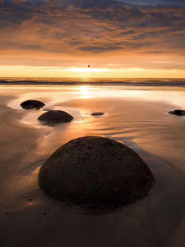 Whale Watching at Sea + 5-Diamond Hotel! Small Group Unlocks New Zealand South Island