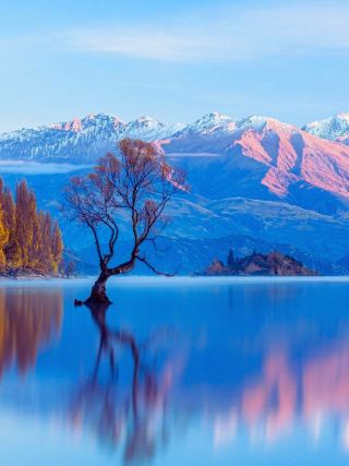 Traveling the South Island of New Zealand in the right order, plan your next trip right