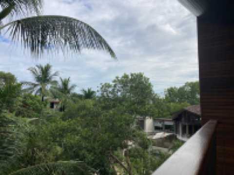 Tranquil Escape in a Modern Oasis