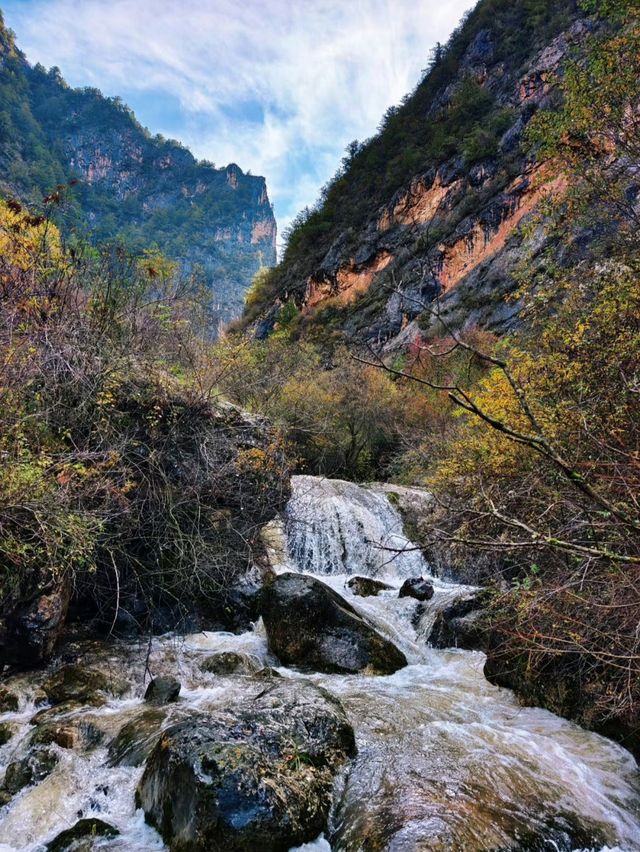 秋色掩映遮陽山