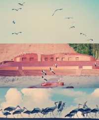 宜興慢遊記｜山水環抱間的詩意棲居，週末來場治癒系旅行  這片被太湖懷抱的小城真的戳中我的審美！竹海、