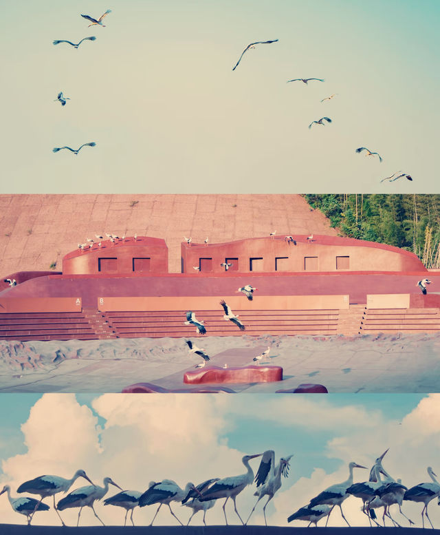 宜興慢遊記｜山水環抱間的詩意棲居，週末來場治癒系旅行  這片被太湖懷抱的小城真的戳中我的審美！竹海、