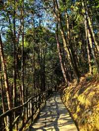 秋天來千島湖別有風味，水天一色美如畫！