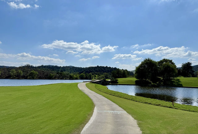 歡迎來銀杏湖遊玩