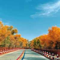 新疆胡楊林公園景區3天2夜5000元旅遊攻略