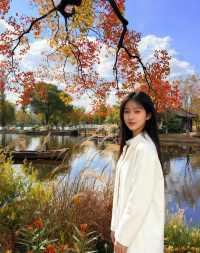 南京賞秋必去！莫愁湖烏桕紅了錯過再等一年