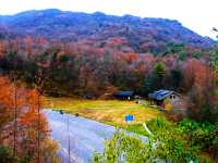 親子徒步看紅葉寶藏地，十八月潭保姆級攻略