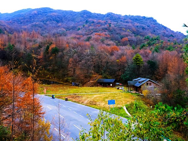 親子徒步看紅葉寶藏地，十八月潭保姆級攻略