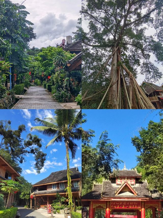 神秘金三角？中緬邊境一日遊危險嗎？