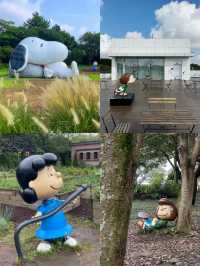 濟州島旅遊|懶人版路線攻略來了!