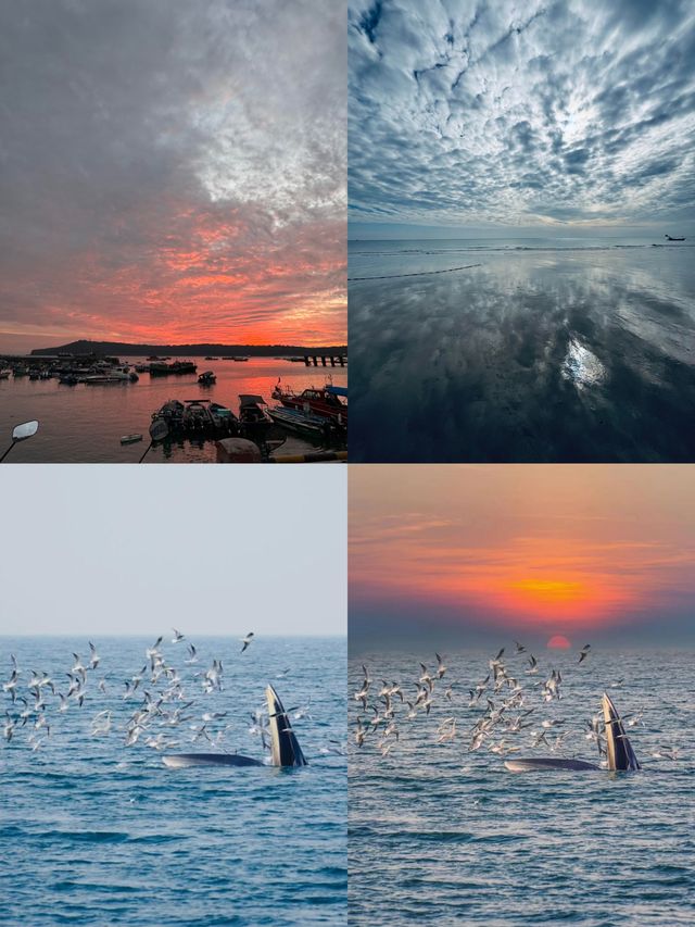 涠洲島追鯨全攻略｜秋冬限定5個月浪漫邂逅