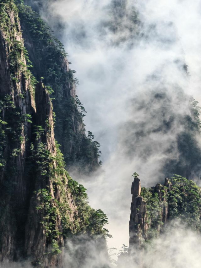 黃山30小時極限挑戰：兩天一夜保姆級攻略，解鎖100%精華體