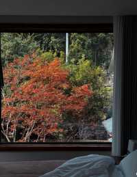 川西神仙溫泉!海螺溝泡湯Top體驗