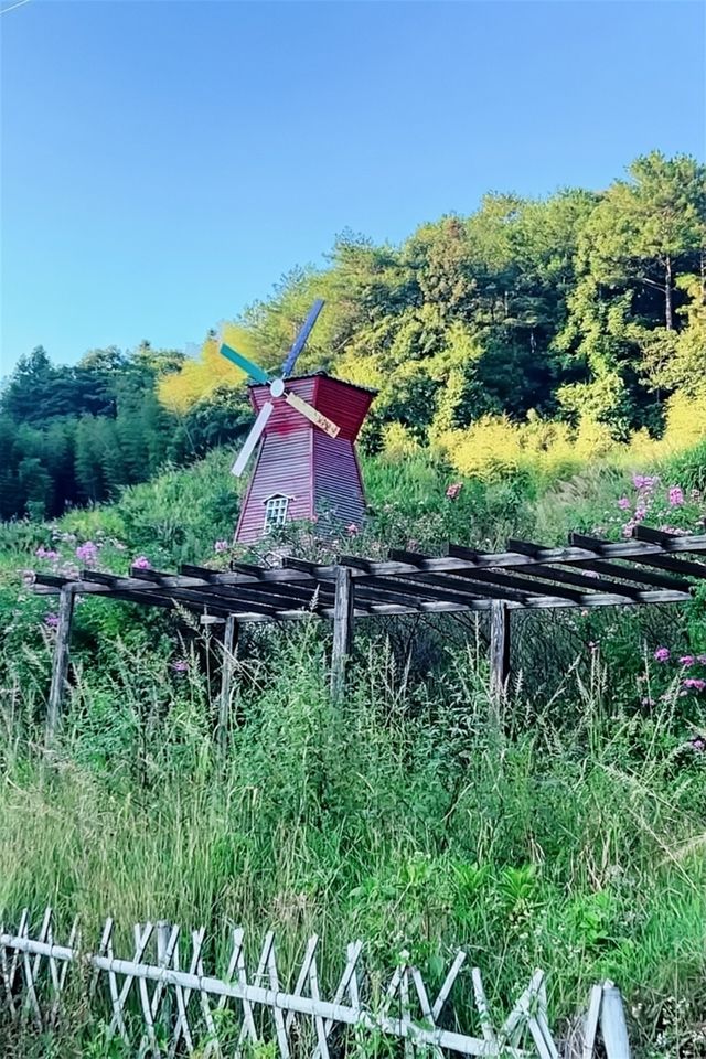 沉浸800年古村的曬秋畫卷與人間煙火 沉浸800年古村的曬秋畫卷與人間煙火