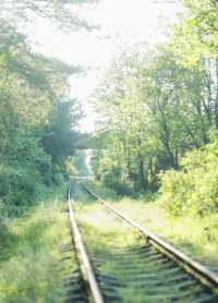 貴陽小眾拍照聖地！廢棄軌道隨手拍出大片感