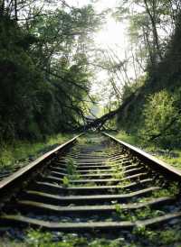 貴陽小眾拍照聖地！廢棄軌道隨手拍出大片感