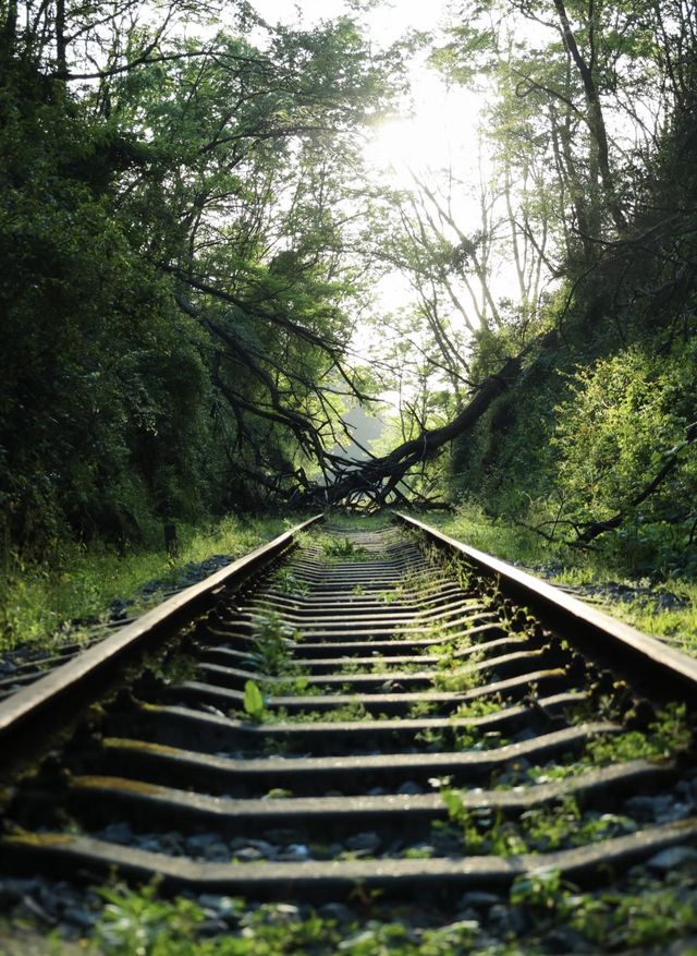 貴陽小眾拍照聖地！廢棄軌道隨手拍出大片感