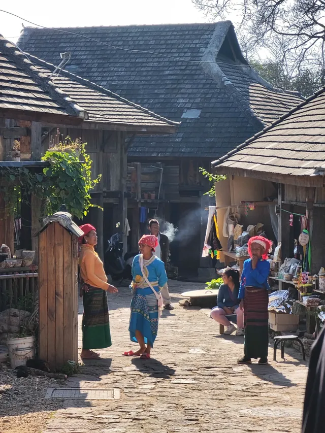 春節版納普洱行 春節版納普洱行