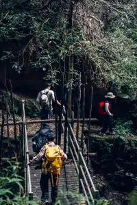 旗山森林公園徒步偶遇猴哥!20km古道+網紅