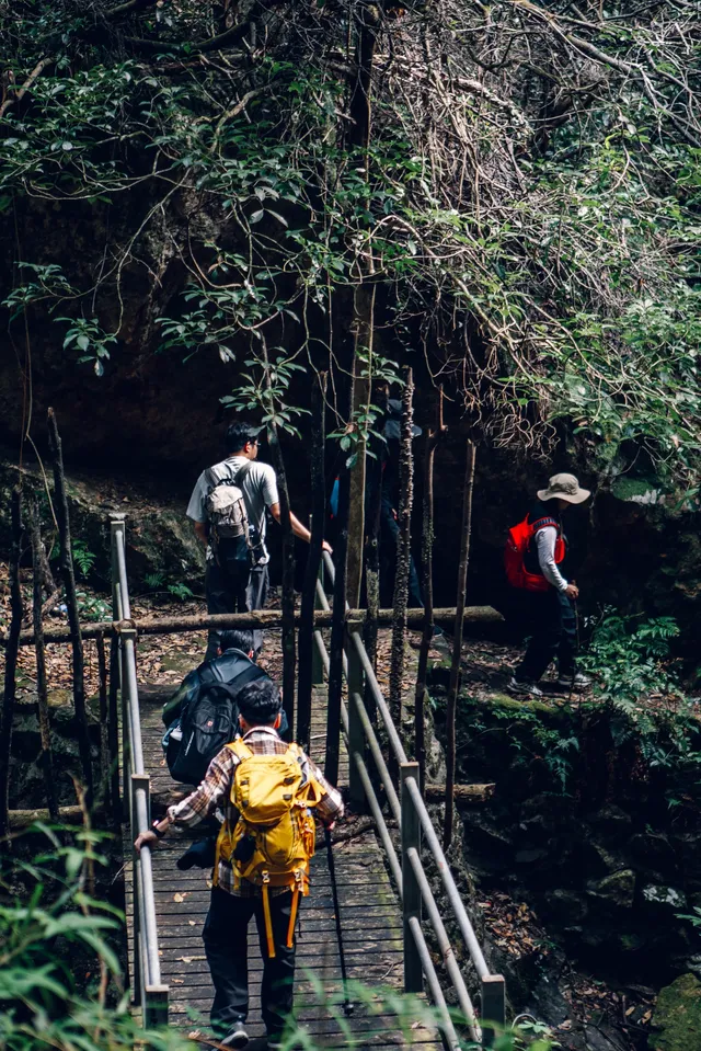 旗山森林公園徒步偶遇猴哥!20km古道+網紅 旗山森林公園徒步偶遇猴哥!20km古道+網紅