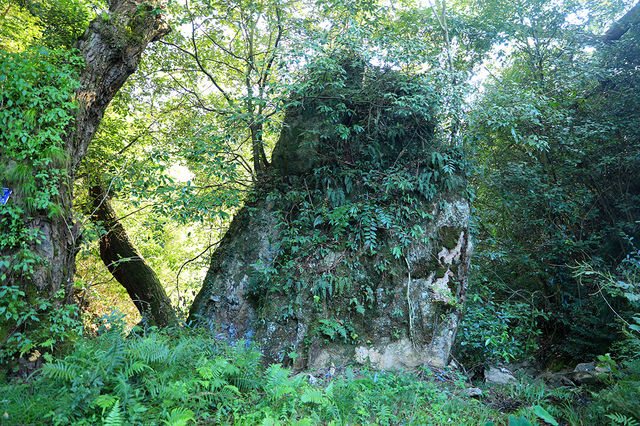 很有意思的村莊，豬頭嶺村？消失的世外桃源