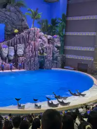 🫧淡季的珠海長隆!!真的玩得太開心啦!!