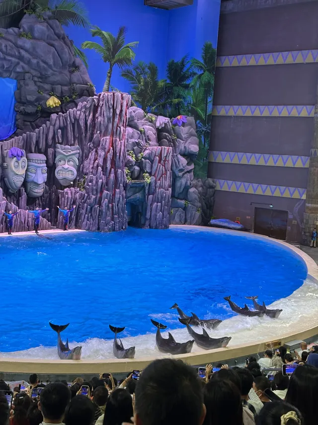 🫧淡季的珠海長隆!!真的玩得太開心啦!! 🫧淡季的珠海長隆!!真的玩得太開心啦!!