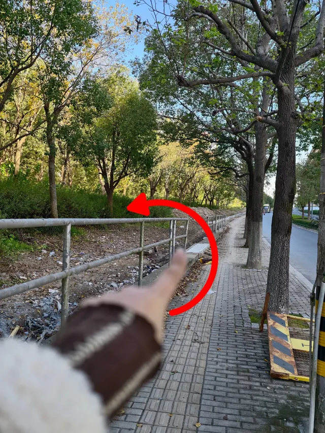 原圖直出的地方終於找到了附路線攻略