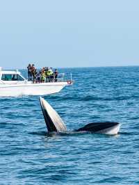 人生建議!11月-3月一定要帶娃去桂西南