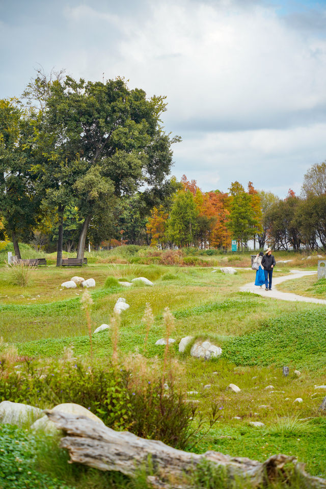 大理4天3晚遊，說說我的真實感受和建議