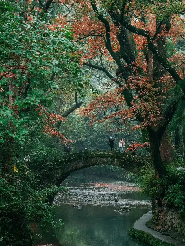 秋日國清寺:在千年古剎尋一份靜謐 秋日國清寺:在千年古剎尋一份靜謐