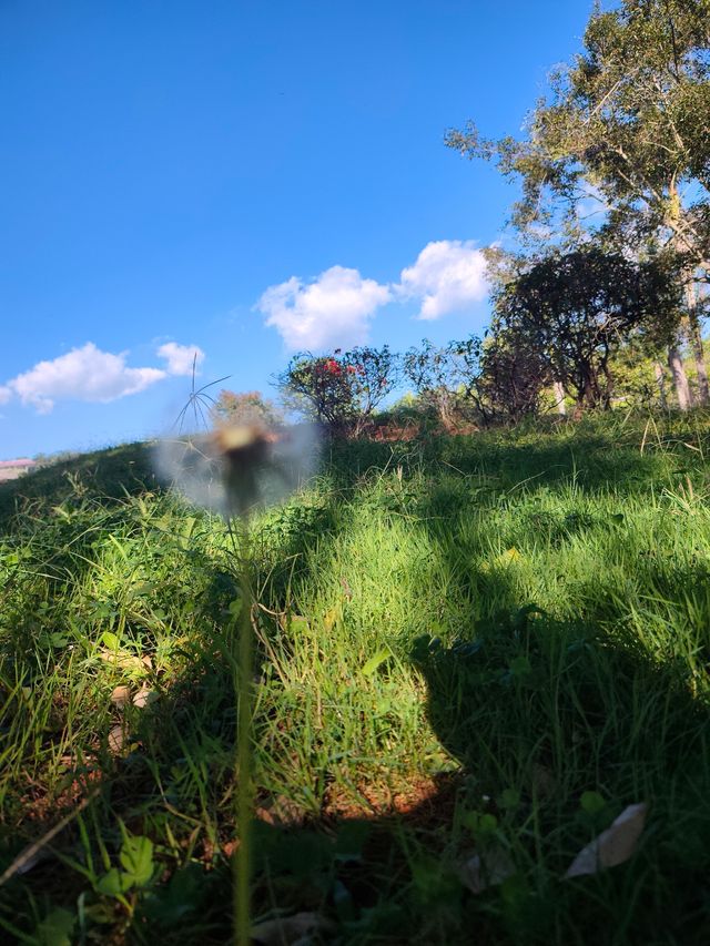 普洱避世秘境闖入宮崎駿的綠野仙蹤