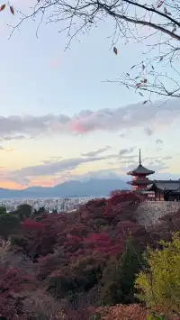 清水寺
