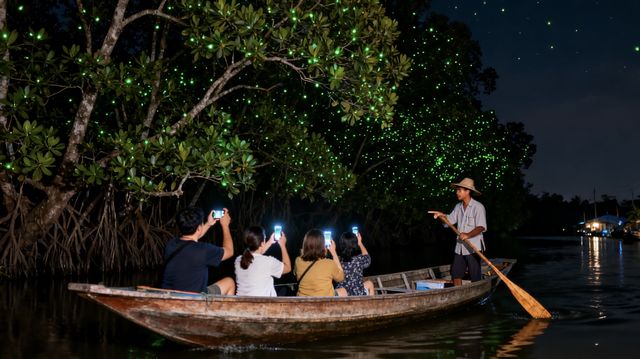 曼谷+象島8日遊攻略