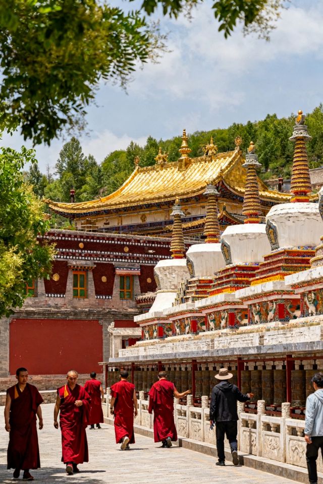 西寧，一座讓你由內而外感受清涼的城市  當盛夏的暑熱席捲全國，有一片海拔2261米的淨土，正以其天然