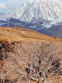 邂逅姑弄村的秋日浪漫 這裡的美驚艷了時光!