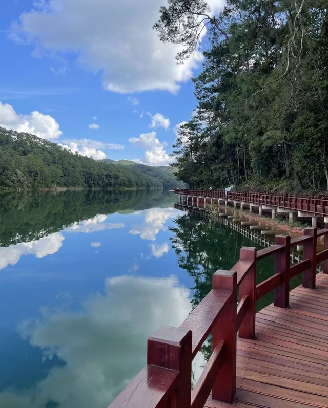 雲南普洱|「梅子湖公園」城市裡的天然氧吧 雲南普洱|「梅子湖公園」城市裡的天然氧吧