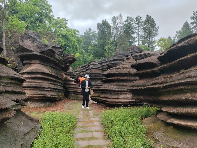 湘西地質公園.紅石林 湘西地質公園.紅石林