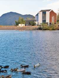 就現在！安吉的秋天已經美成next level！