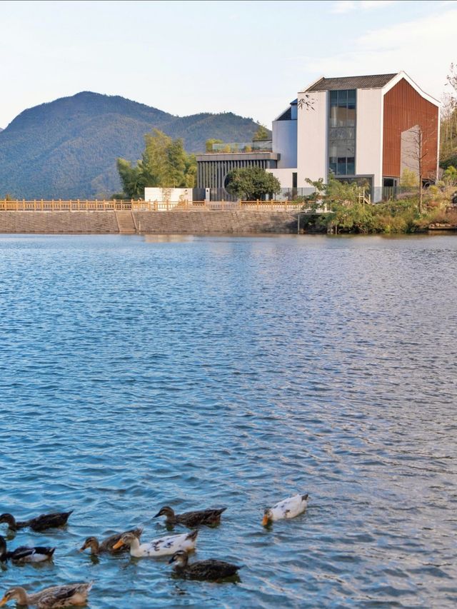 就現在！安吉的秋天已經美成next level！