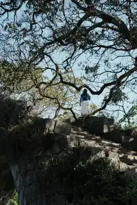 廣州出發陽朔週末兩日遊（緊湊版）