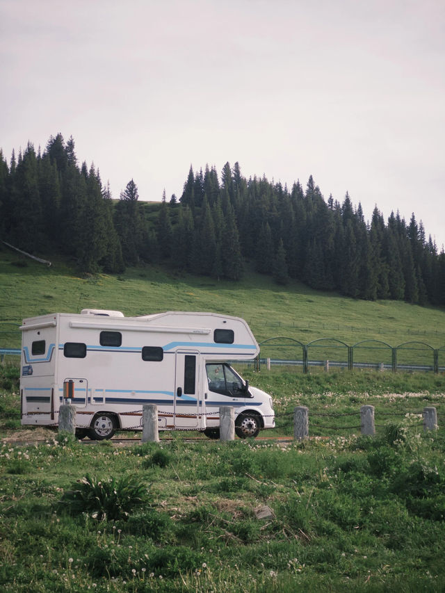 阿勒泰地區-博爾塔拉8日遊 去了還想去 阿勒泰地區-博爾塔拉8日遊 去了還想去