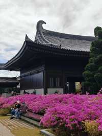 香港慈山寺|世界第二高的戶外觀音立像