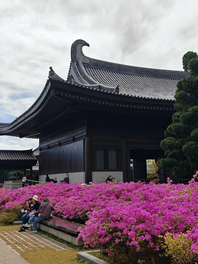 香港慈山寺|世界第二高的戶外觀音立像 香港慈山寺|世界第二高的戶外觀音立像