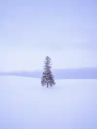 北海道冬季四日遊|札幌出發懶人包!
