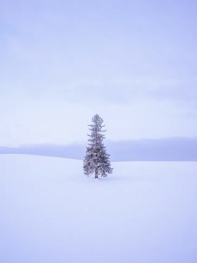 北海道冬季四日遊|札幌出發懶人包! 北海道冬季四日遊|札幌出發懶人包!